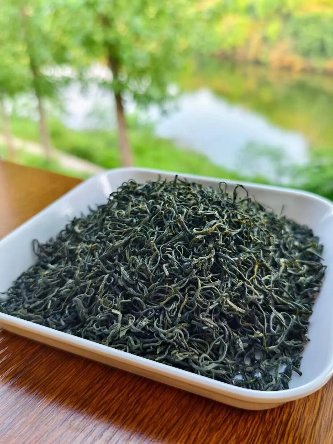 回龙观茶干茶实景